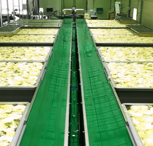 해남 절임배추 20kg 사전예약 가격비교