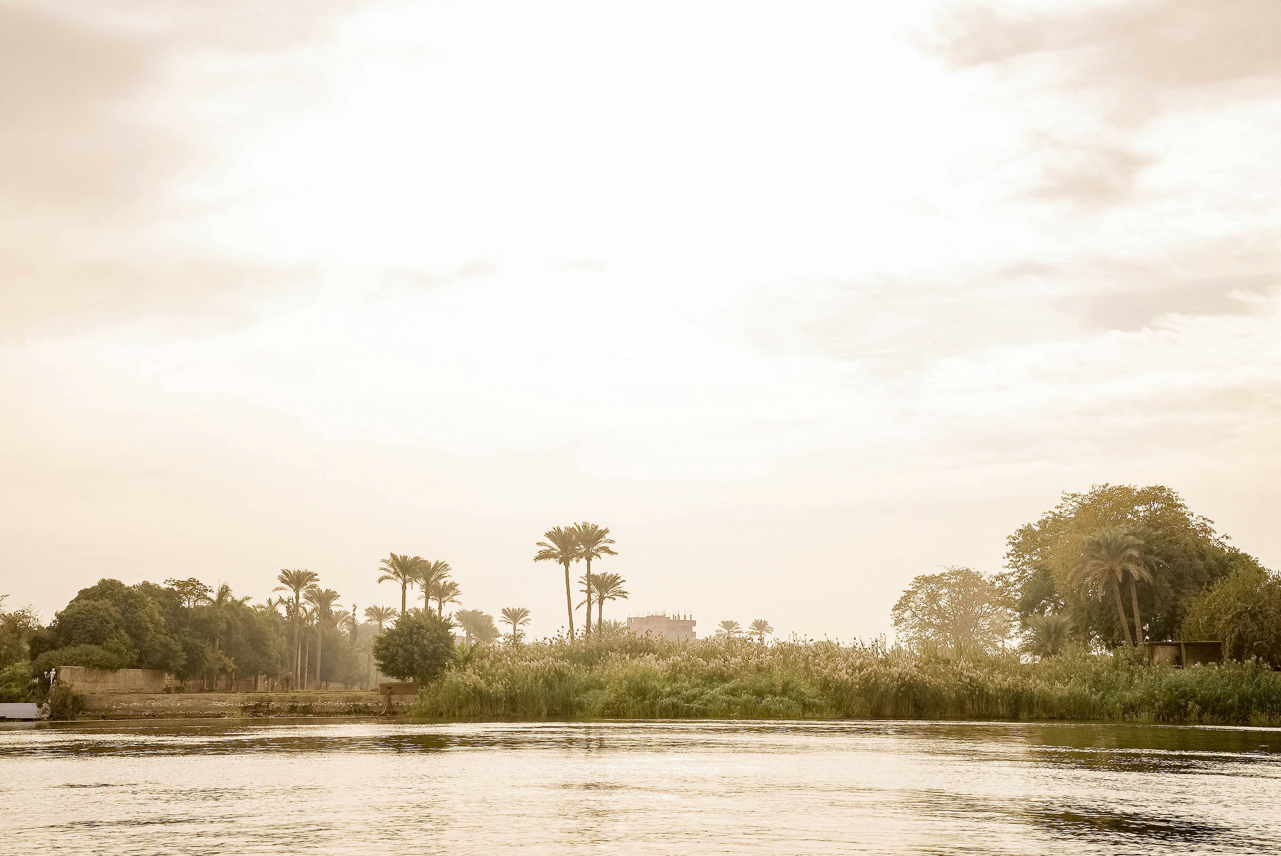 아프리카 고대 왕국