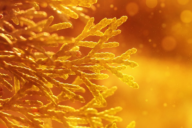 초보투자자를 위한 금 투자 가이드(기본 개념, 투자방법, 주의점)