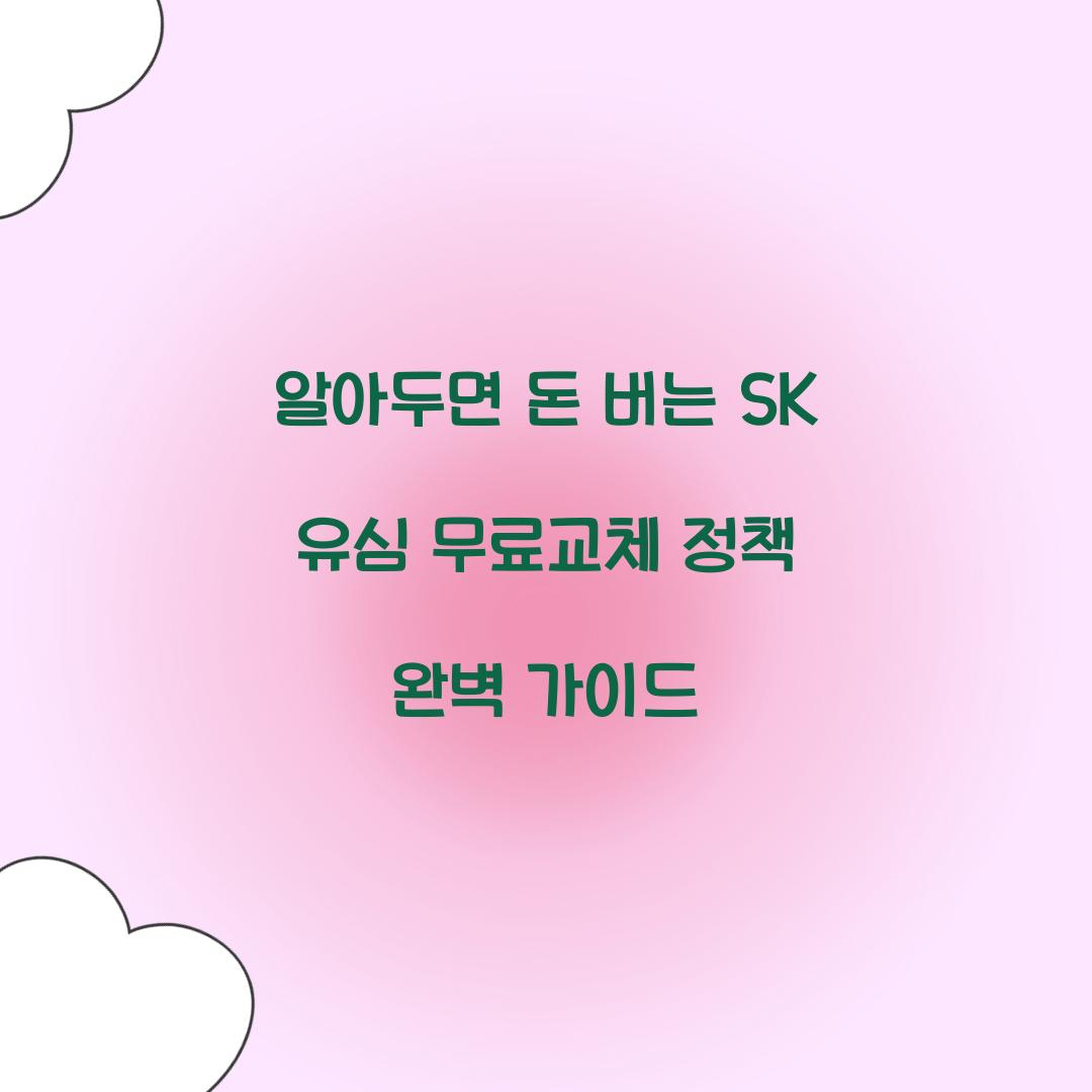 알아두면 돈 버는 SK 유심 무료교체 정책의 모든 것