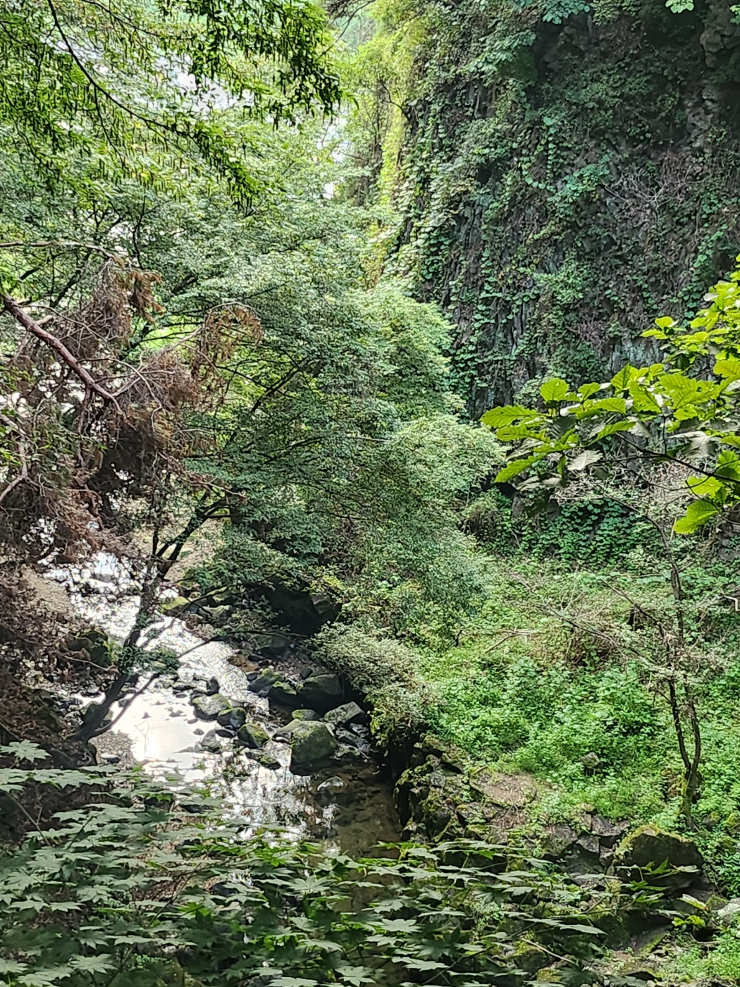 철원여행지추천