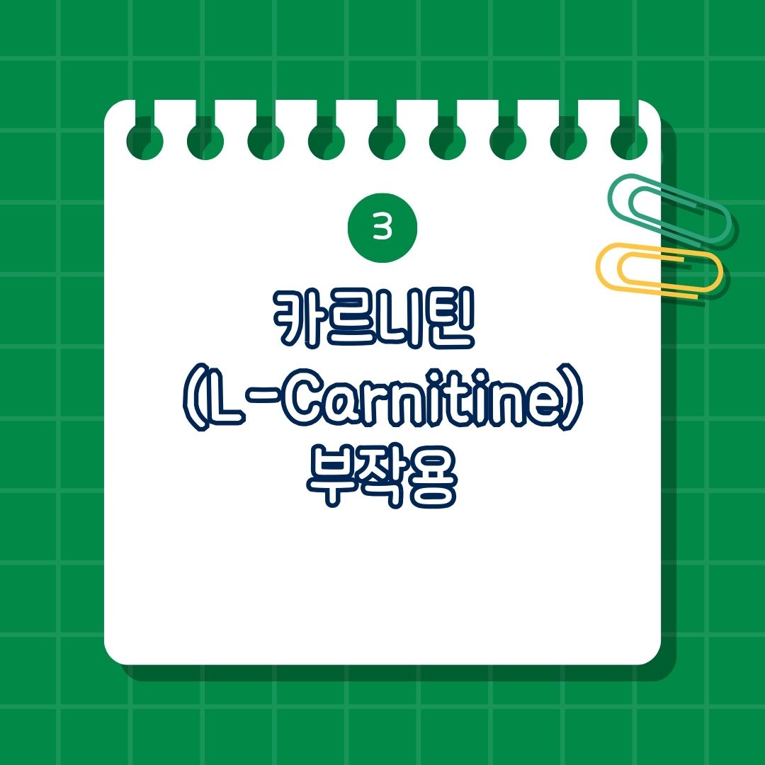 카르니틴 (L-Carnitine)의 부작용