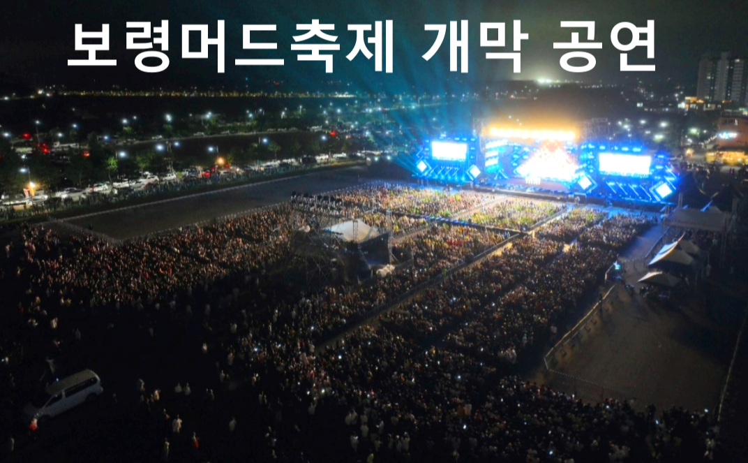 보령머드축제