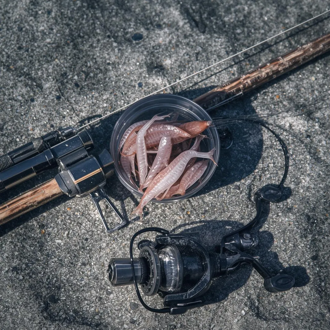무늬오징어 생미끼 낚시 채비 설명 이미지
