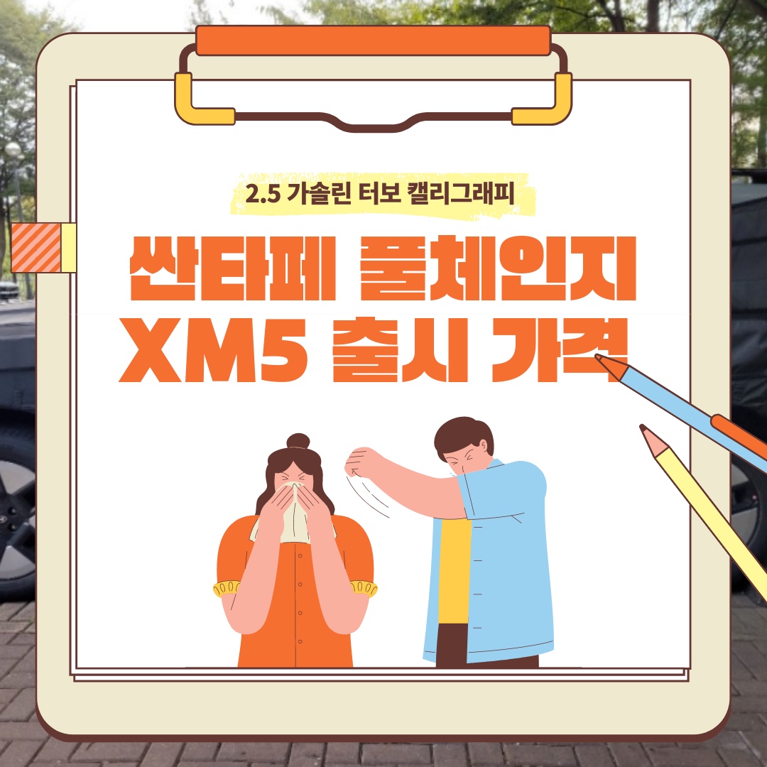 싼타페 풀체인지 mx5 출시 가격