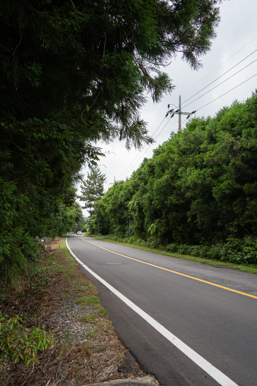 서귀포 호빗의 집 주차