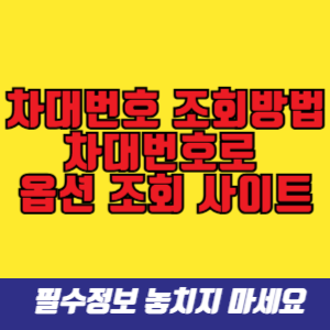 차대번호 조회방법 및 차대번호로 옵션 조회 사이트