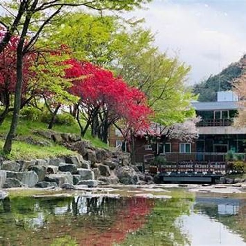 흑석산 자연휴양림 