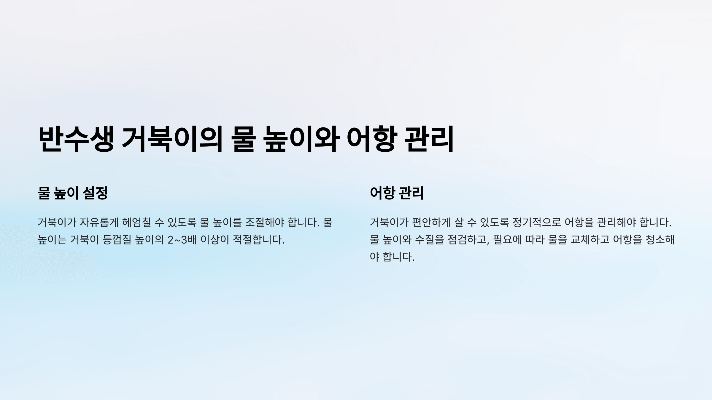 반수생 거북이 사진입니다.