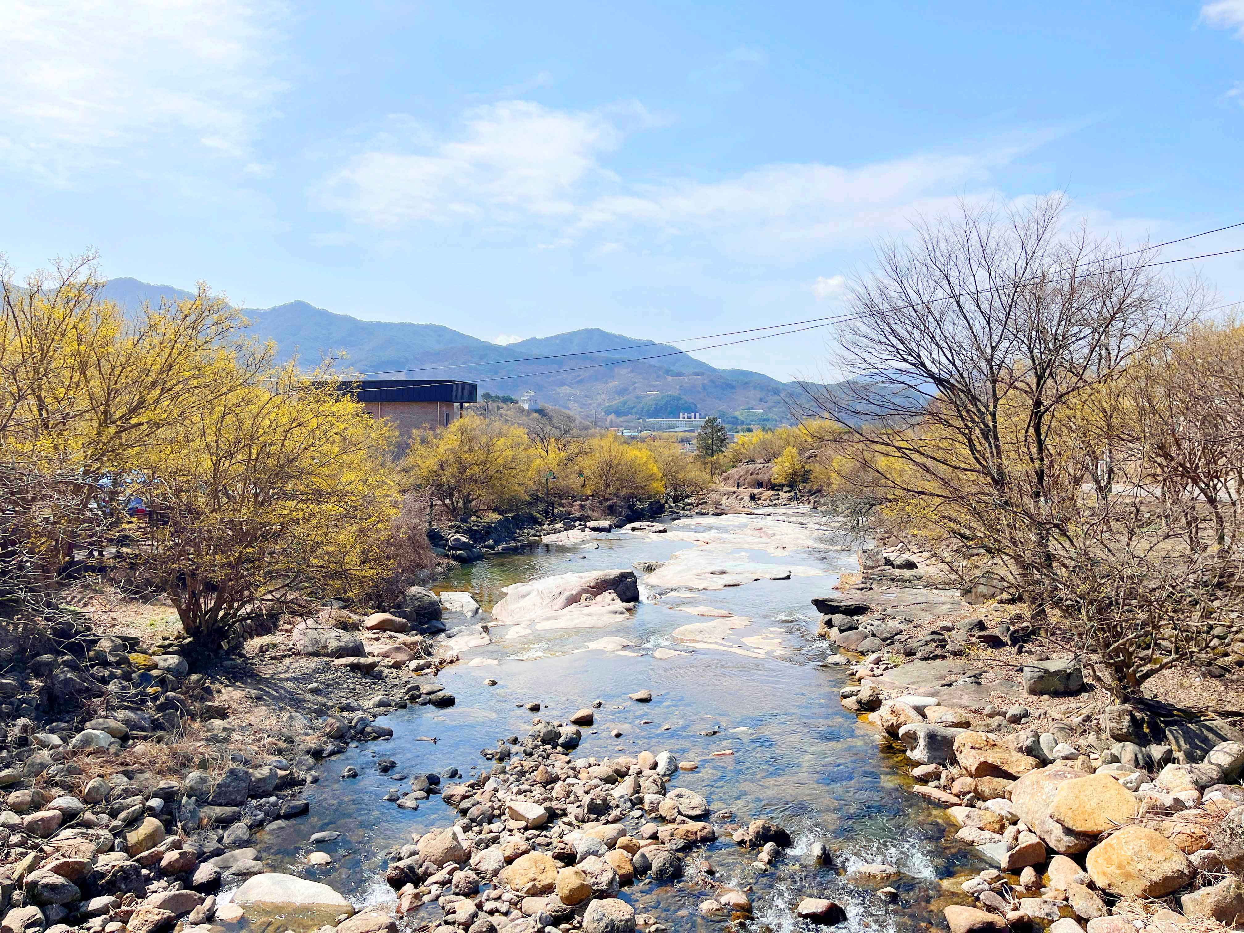 구례 산수유마을