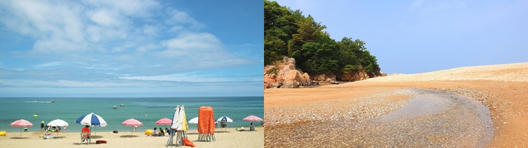 동해안 해수욕장 관련 사진