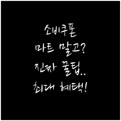 민생회복 소비쿠폰, 대형마트 대신 어..