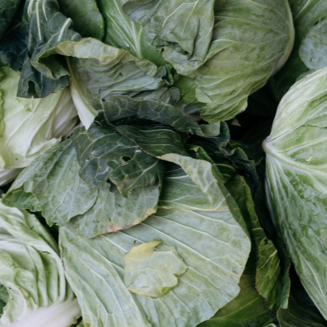 양배추 효능과 부작용 칼로리