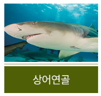 손가락 마디 무릎 통증 관절염 증상16