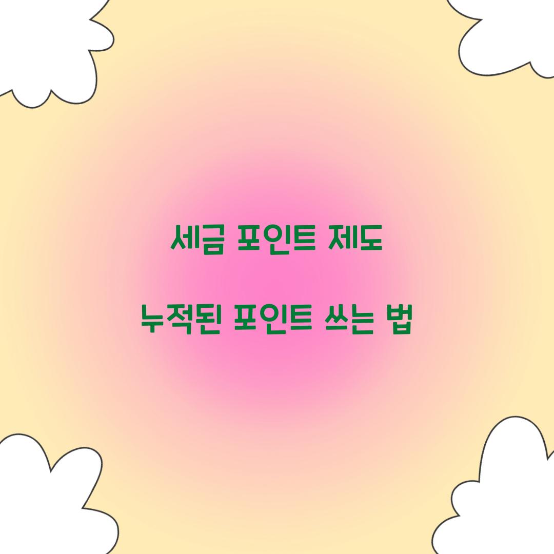 세금 포인트 제도 누적된 포인트 쓰는 법  