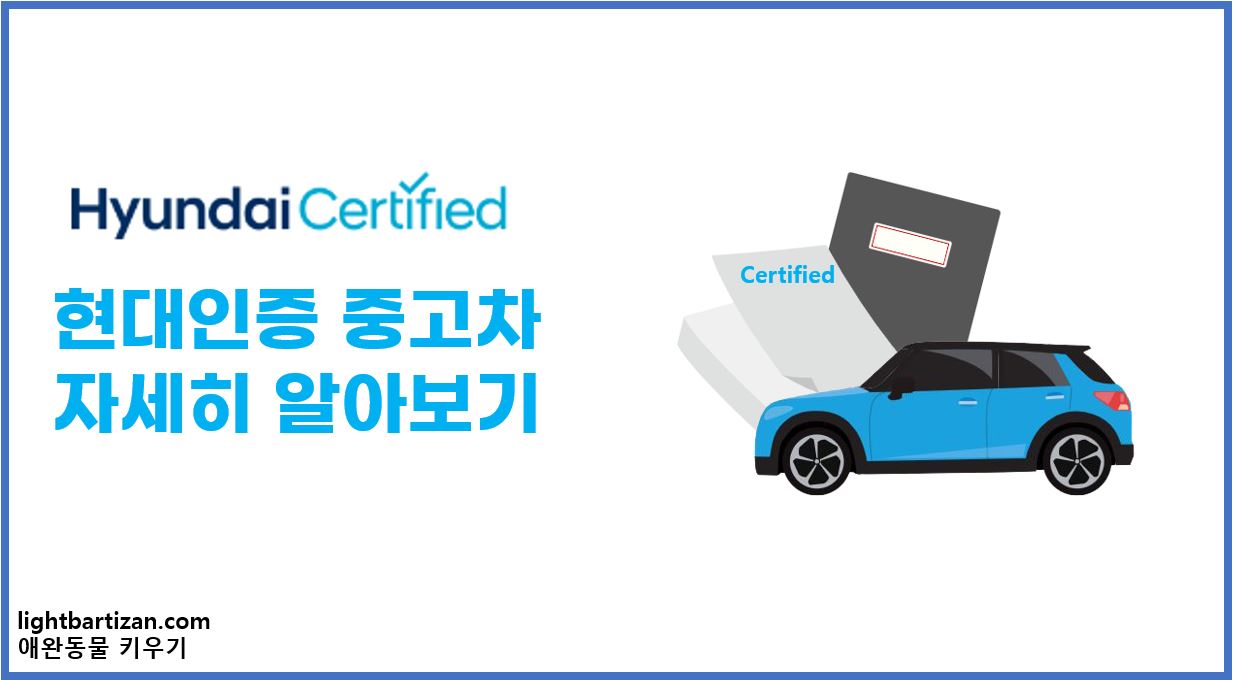 현대인증중고차