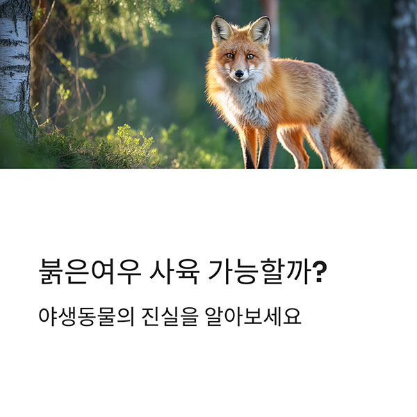 정말 사람과 함께 살 수 있을까?