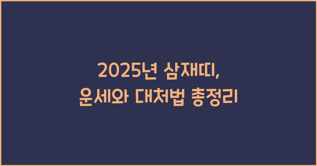 2025년 삼재띠