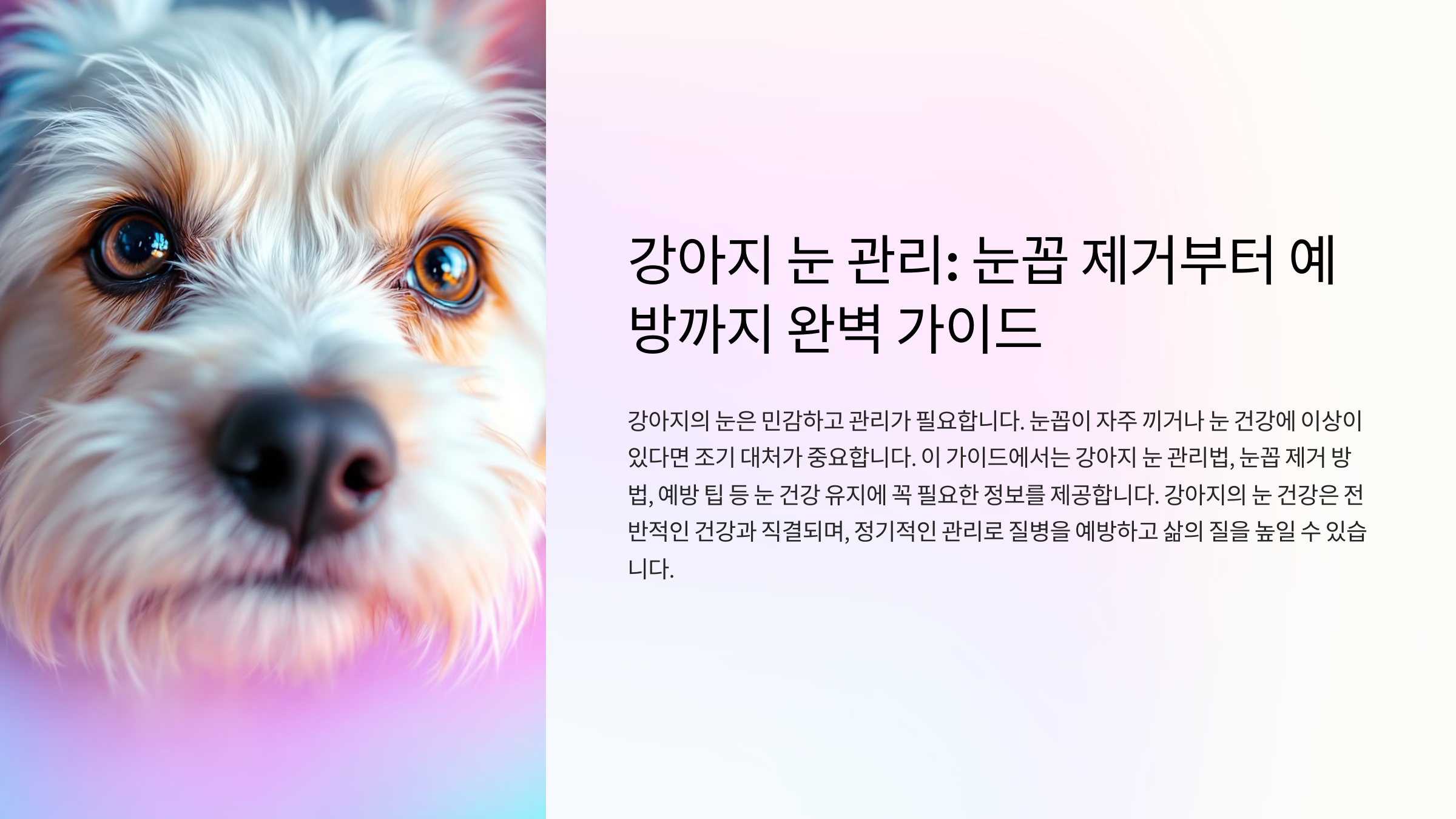 강아지 눈 관리: 눈꼽 제거부터 예방까지 완벽 가이드