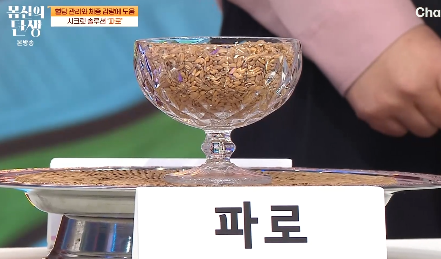 몸신의 탄생 파로