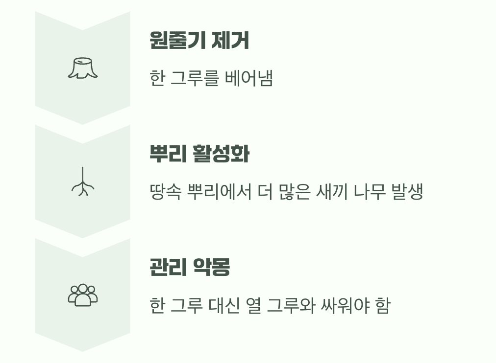 걷잡을 수 없는 번식력과 관리의 악몽
