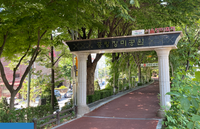 서울 중랑장미공원 관련 사진