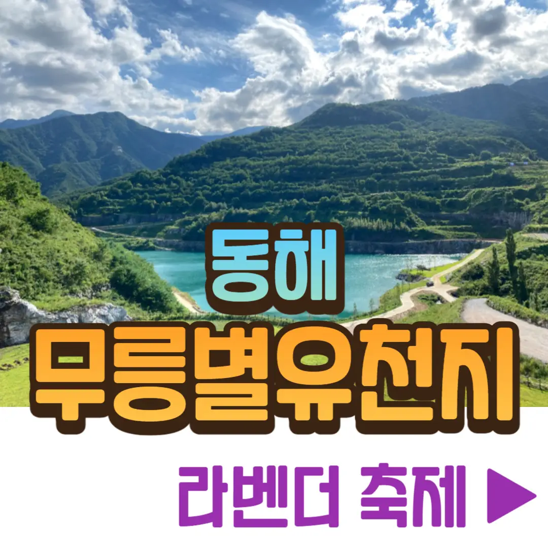 동해 무릉별유천지 라벤더 축제