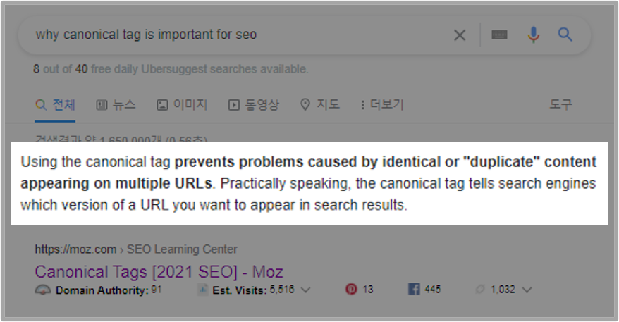 캐노니컬 태그 이미지