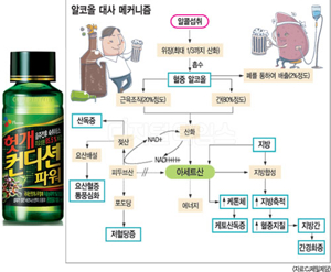 숙취해소제