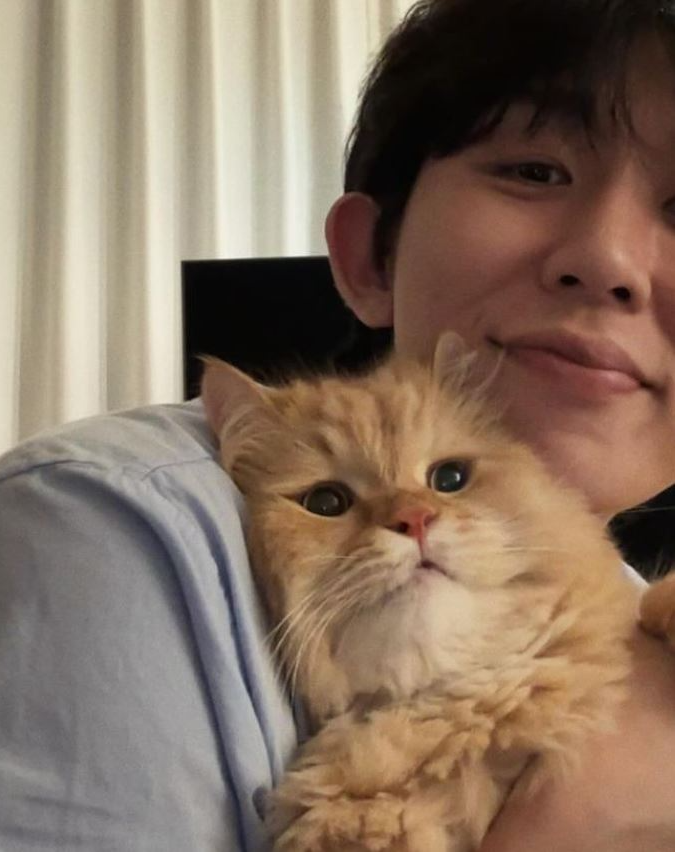 고양이