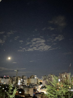 2024년을 조용한 밤