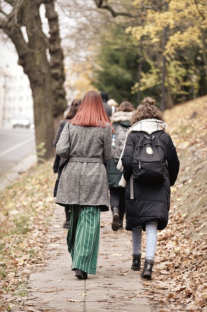 학생 가방 관련 사진