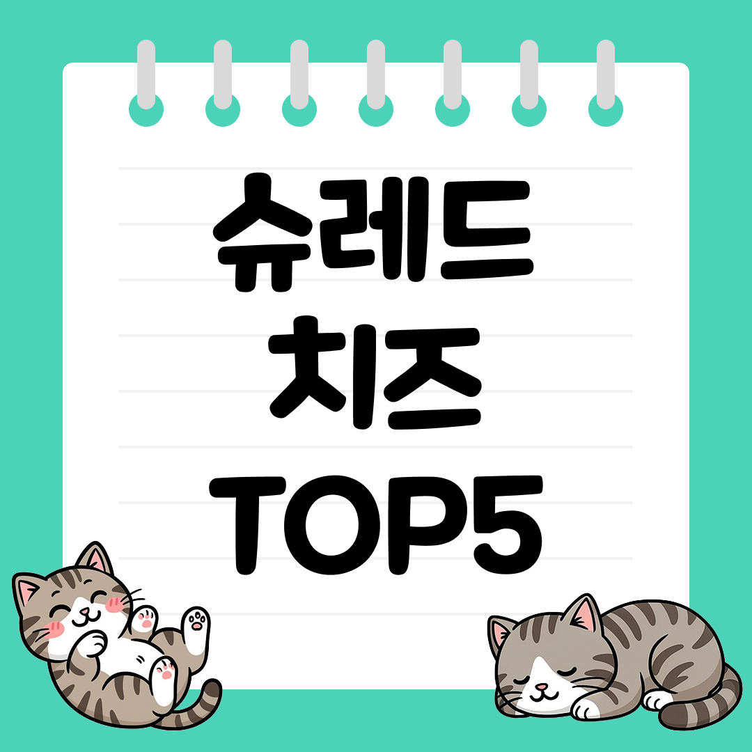 피자와 그라탕에 좋은 슈레드 치즈 추천 순위 TOP5