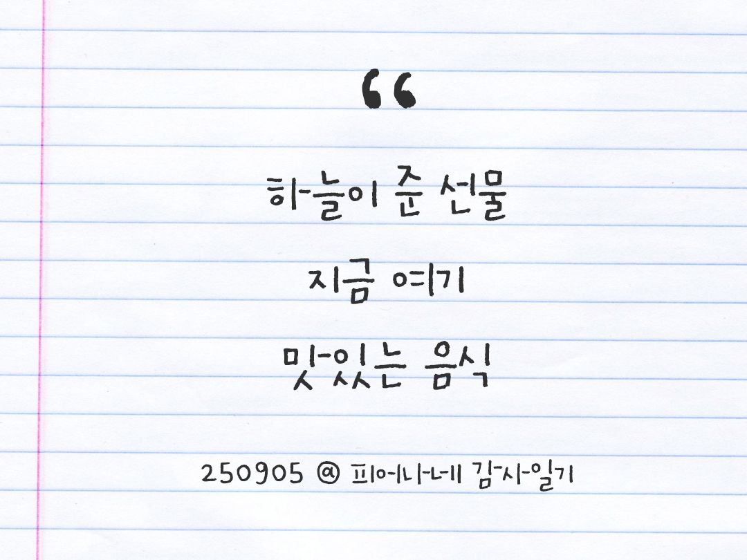 25년 9월 5일 오늘 내 마음 기록하기 감사노트, 감사를 통해 발견한 행복, 오늘 감사한 순간들 by 피어나네 감사일기