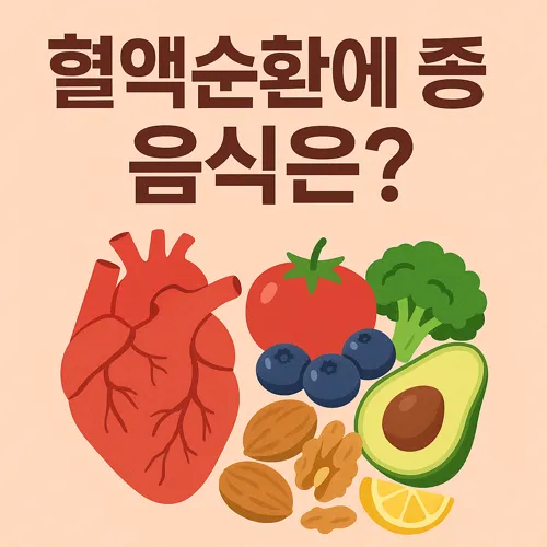 혈액순환에 좋은 음식