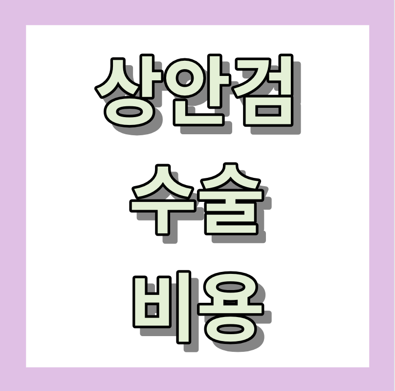 < 상안검 수술비용 > 상안검수술이란?