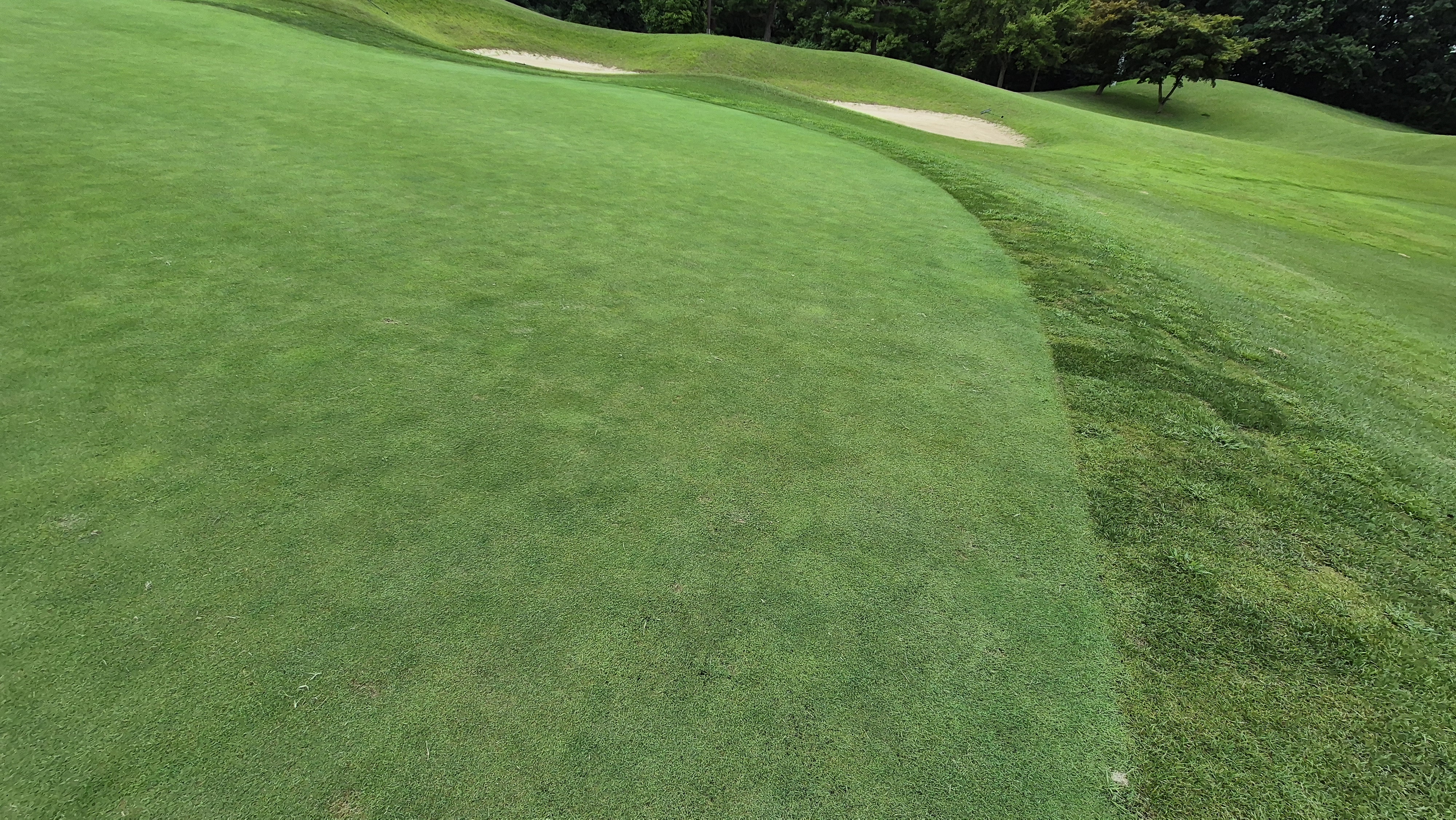 한림용인cc 다이아몬드-사파이어 코스 라운드 후기