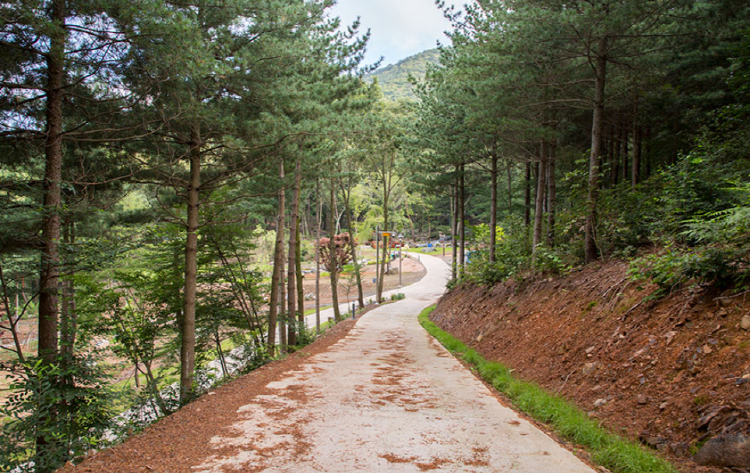 보령 무궁화수목원