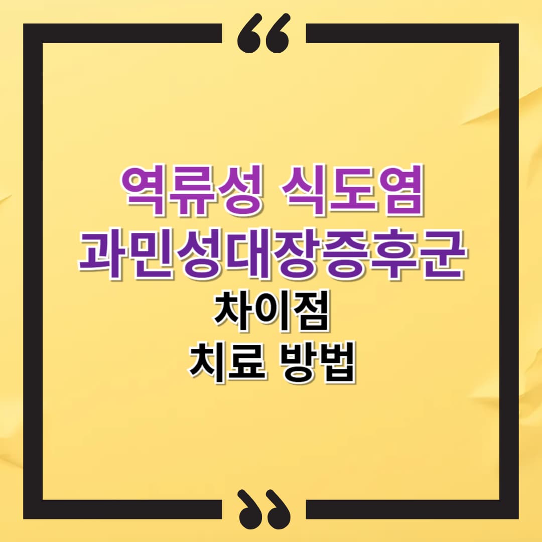 역류성 식도염과 과민성대장증후군의 차이 및 치료법 – 효과적인 관리 방법