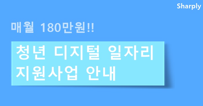 청년 디지털 일자리 사업