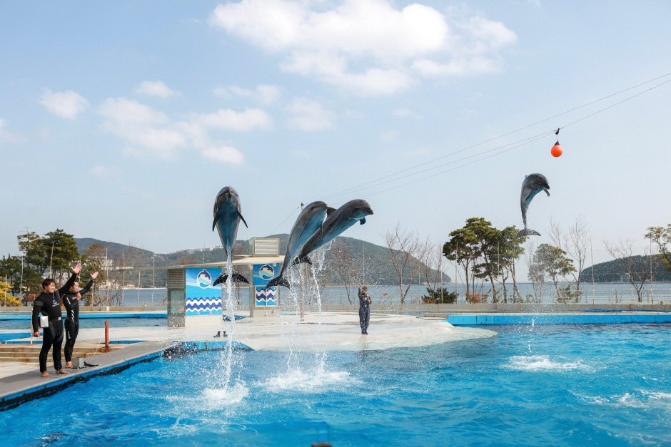 거제 씨월드