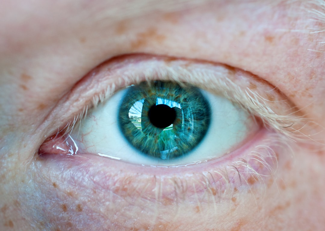 눈 (eye)