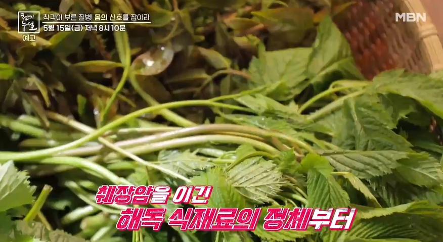 봄나물이미지