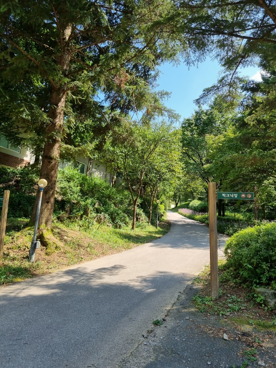 청평자연휴양림