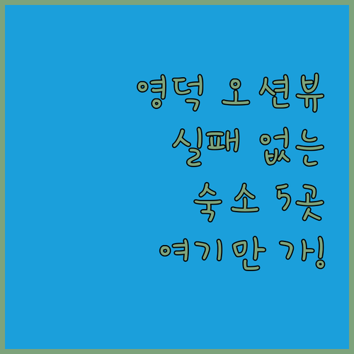 영덕 바다 앞 숙소 5곳 비교 분석 ..