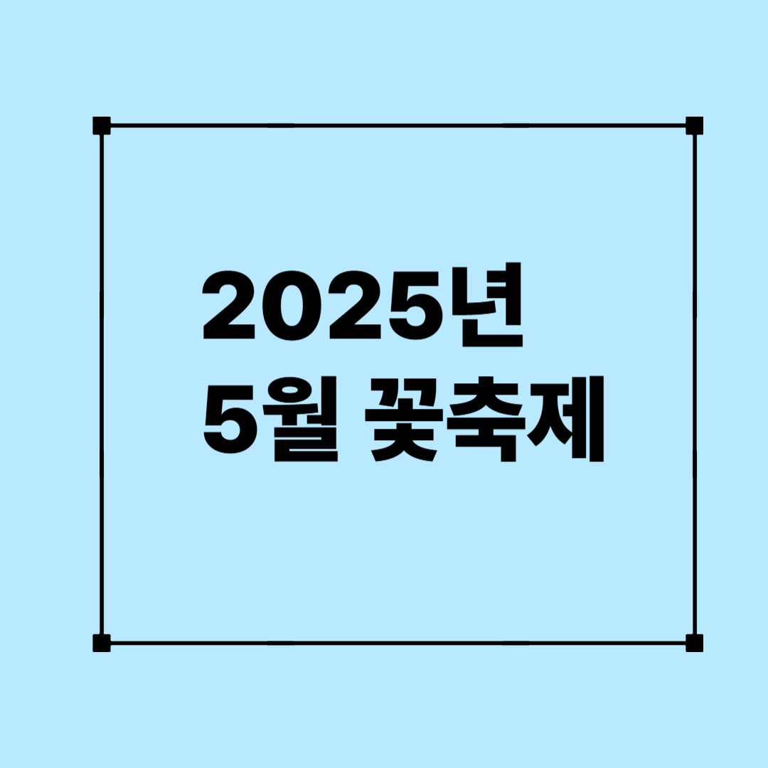 2025 년 5월 꽃 축제