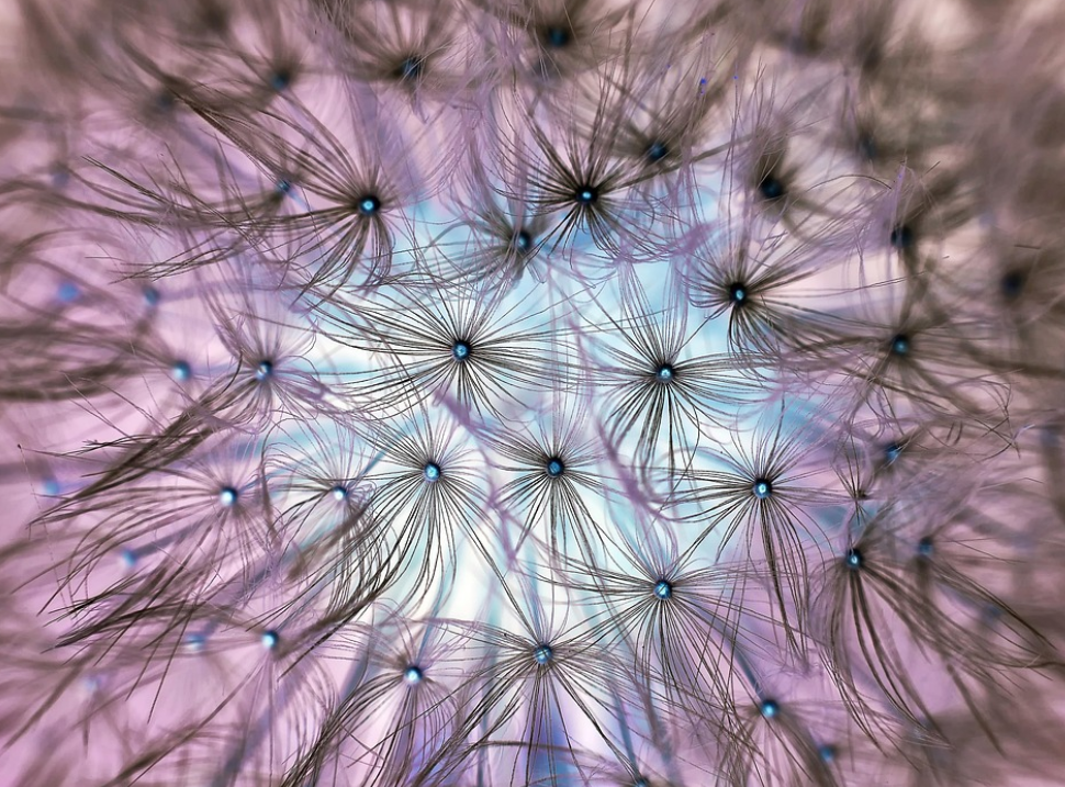 야외활동 알바 추천 (봄바람 느끼며 일해요) 관련 사진