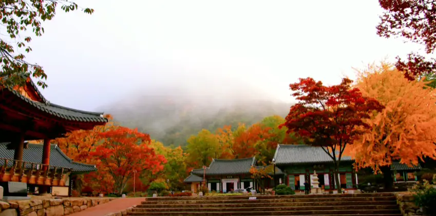 주왕산-대전사-단풍