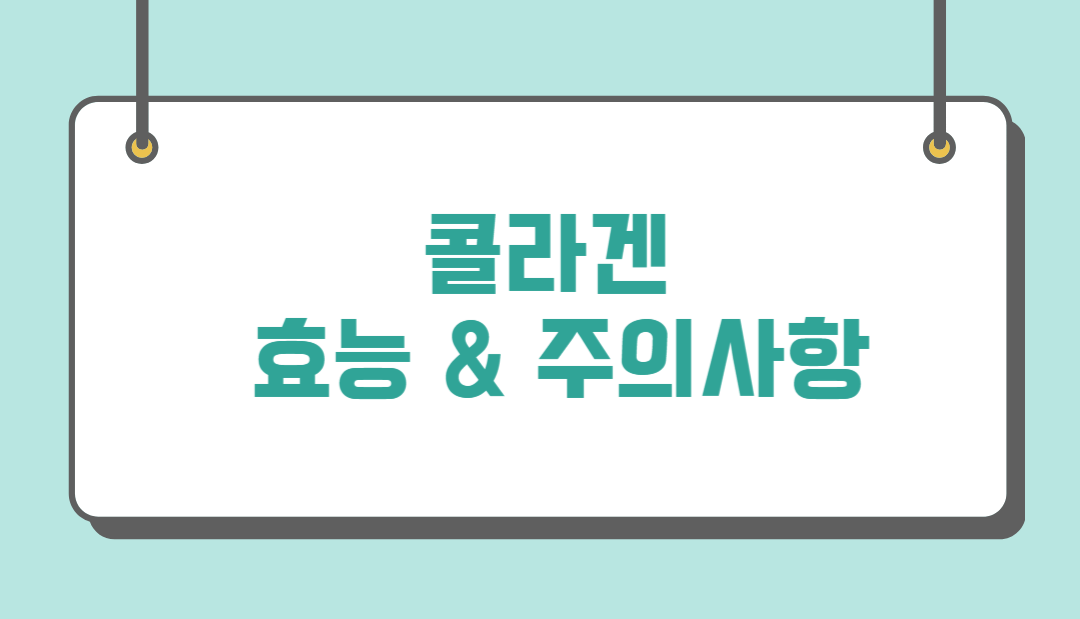 콜라겐의 효능 및 주의사항