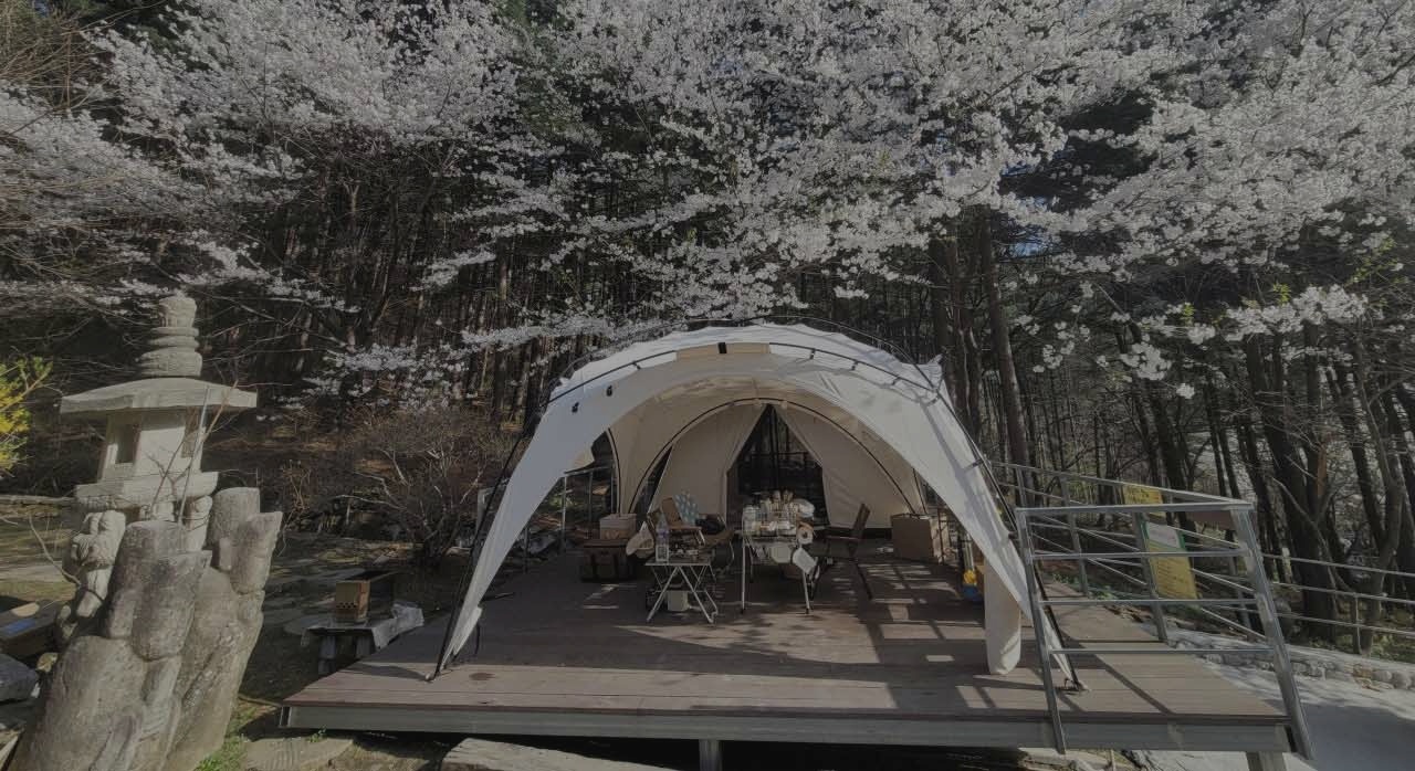 벚꽃과 함께 어우러지는 수목원프로방스 캠핑장 전경. [ⓒ네이버플레이스 수목원프로방스]